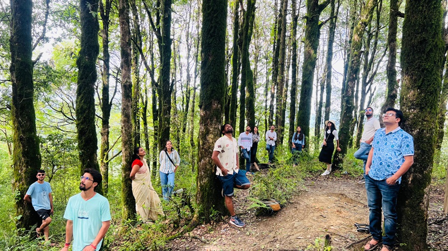 Best interior designer in kuchaman city